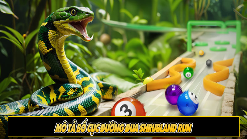 Mô tả bố cục đường đua Shrubland Run